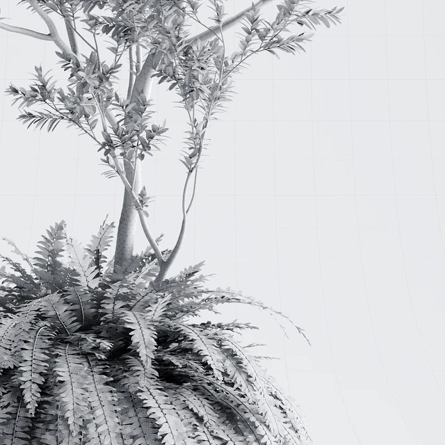Indoor Plant 01 - ORGANIKA — Descargar