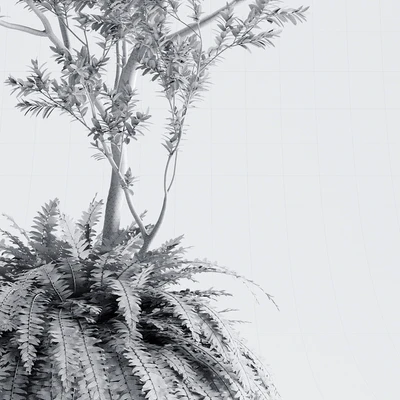 Indoor Plant 01 - ORGANIKA — Ver 2