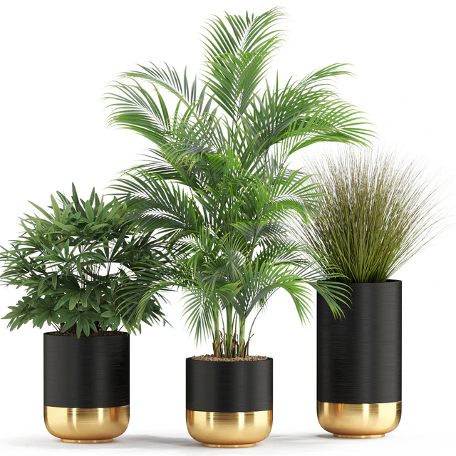 Plants collection 540 — Descargar