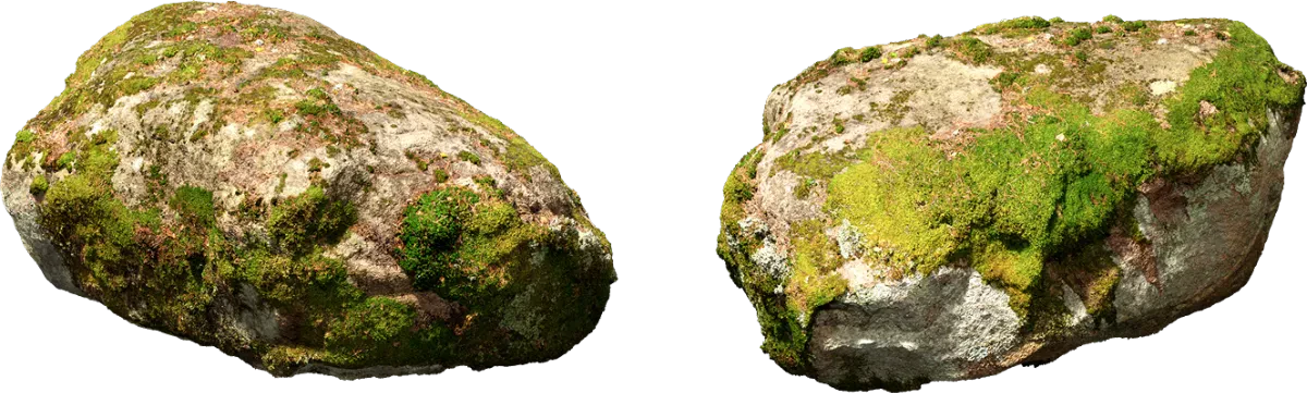 nordic forest rock moss medium 001 — Descargar