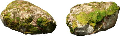 nordic forest rock moss medium 001 — Descargar