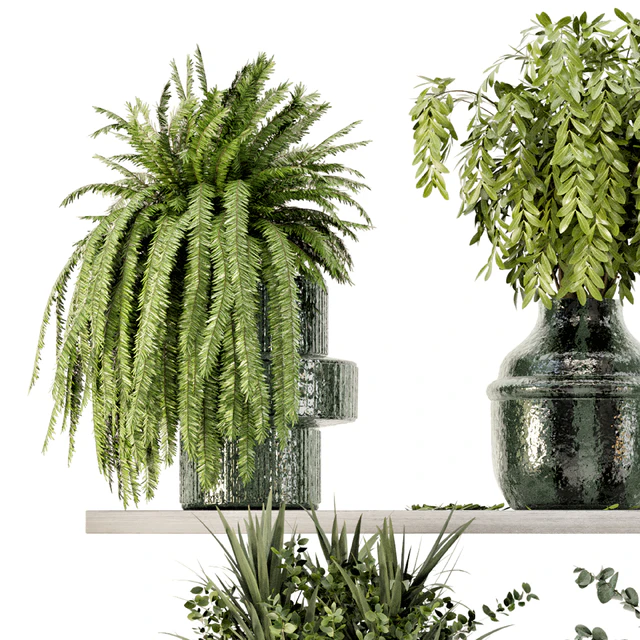 Collection Indoor Plants in Glass Pots - Set 695 — Descargar