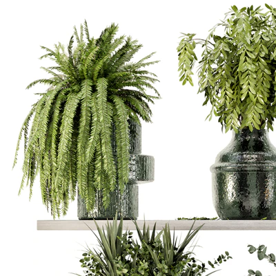 Collection Indoor Plants in Glass Pots - Set 695 — Ver 4
