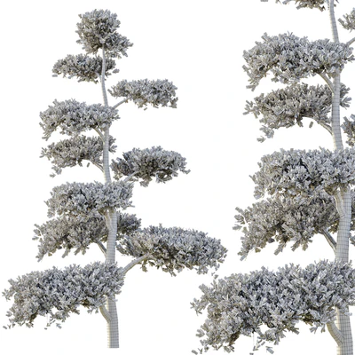 tree set 04 — Вид 3