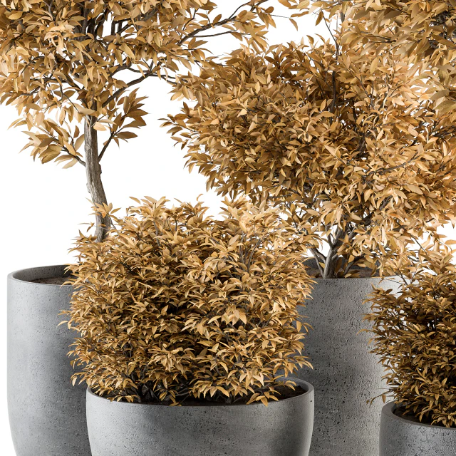 Outdoor Plant Set 322- Autumn Plant and Tree Set — Descargar