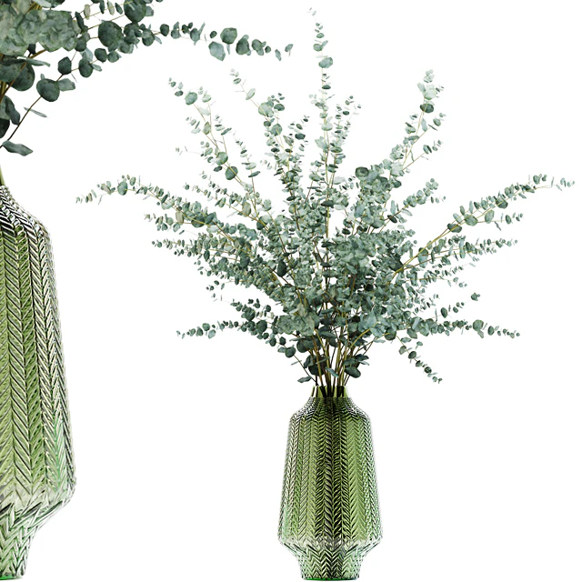 Eucalyptus branches in a green vase — Descargar