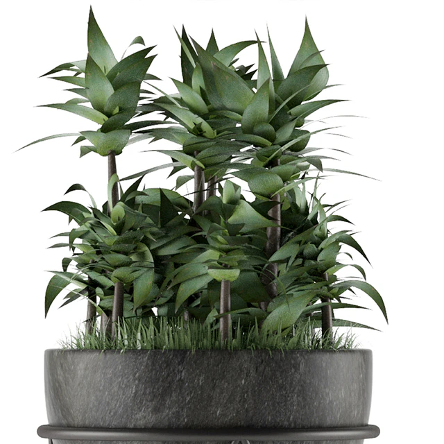 House Plant 21 — Скачать