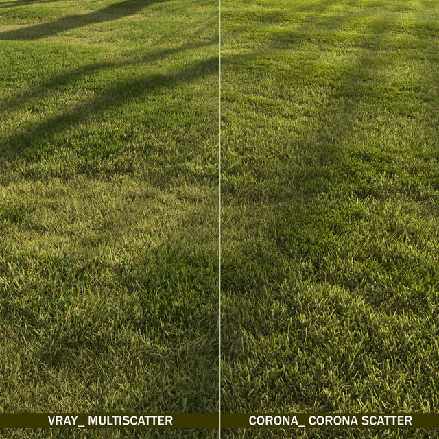 Forest grass — Descargar