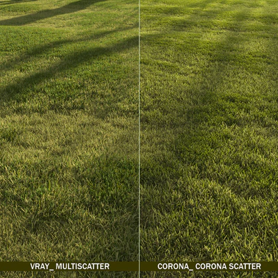 Forest grass — Ver 3