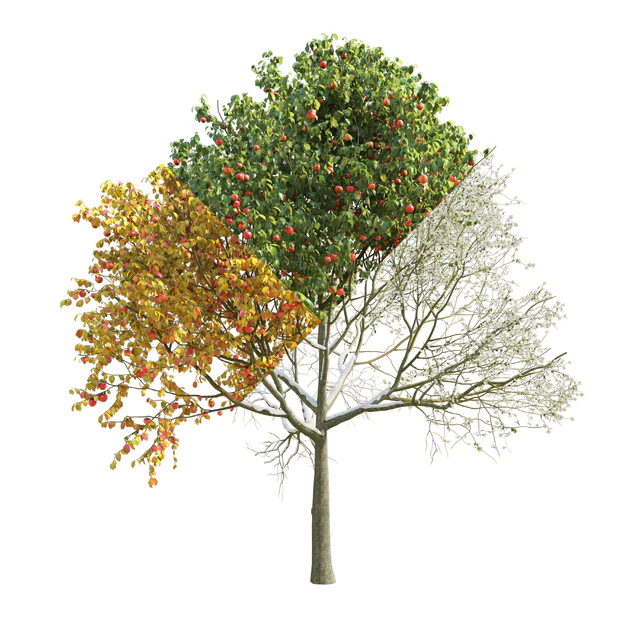 Apple Tree 5 Seasons — Скачать