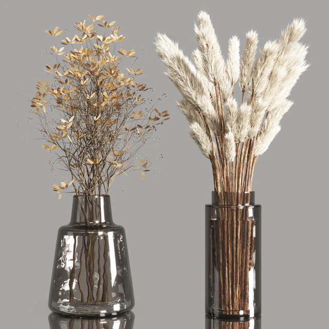 Collection Dry Plants Bouquet Indoor 02 — Descargar