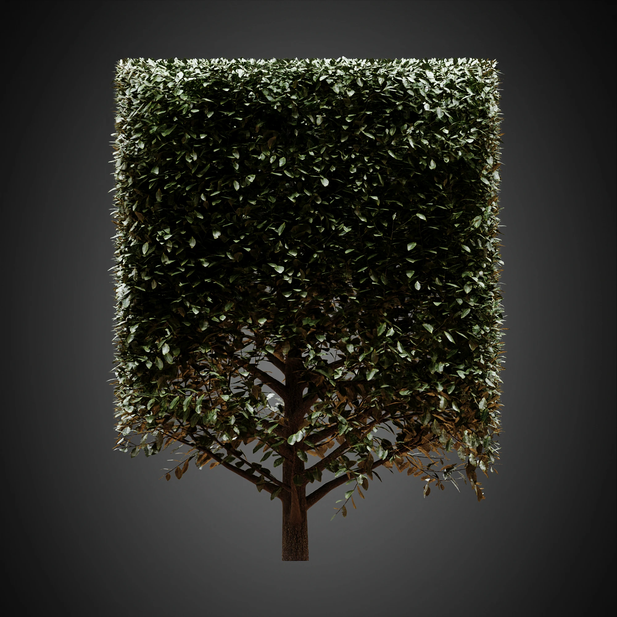 009 — Скачать