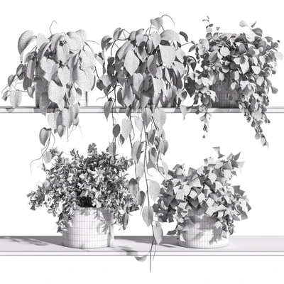 Plants on Shelf 32 — View 2
