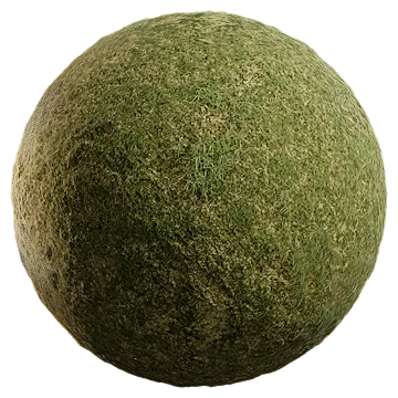 uncut grass 032 — Скачать