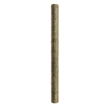 spruce branch bark 011 — Descargar