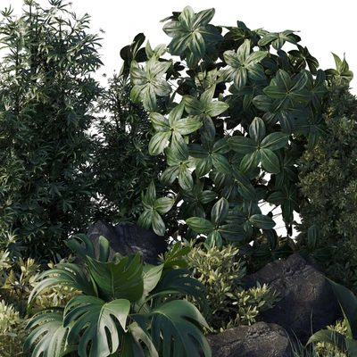 Collection outdoor indoor 101 pot plant — Вид 3