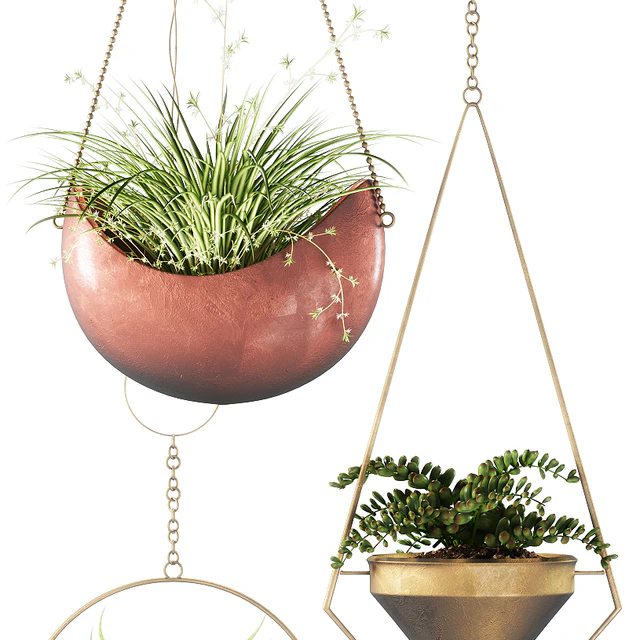 PLANTS 143 — Descargar
