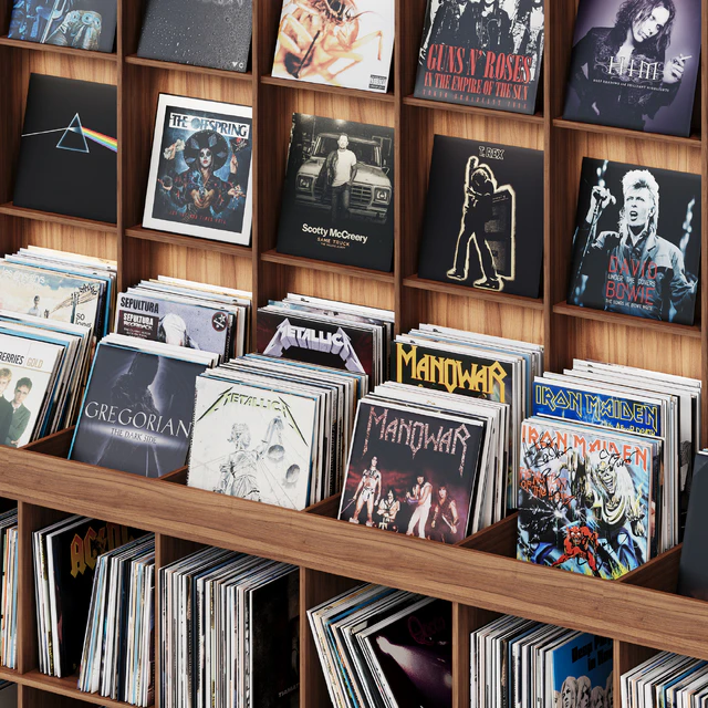 Rack with vinyl records for home or store — Descargar