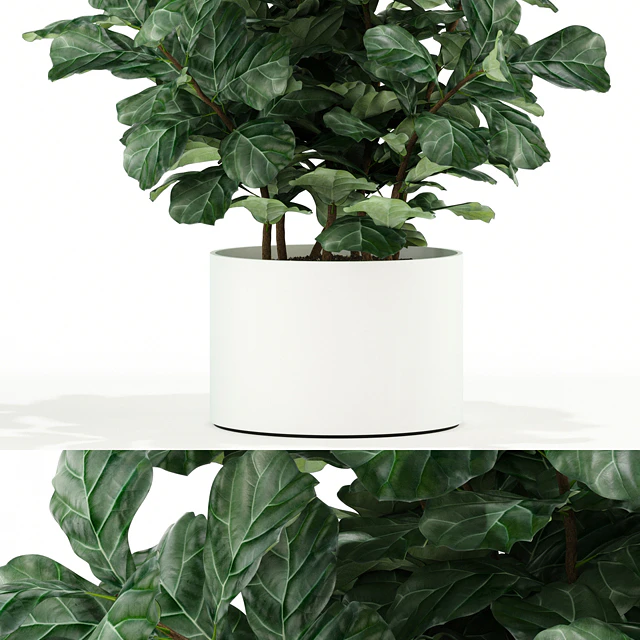Plants collection 98 — Descargar
