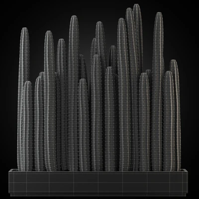 Plants collection 266 — Вид 2