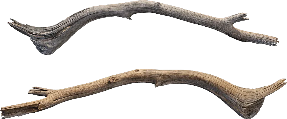 desert western tree branch juniper dead 003 — Descargar