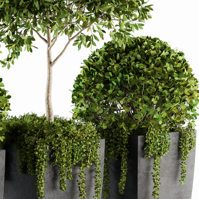 Outdoor Plants Round Topiary Tree - Set 75 — Ver 3