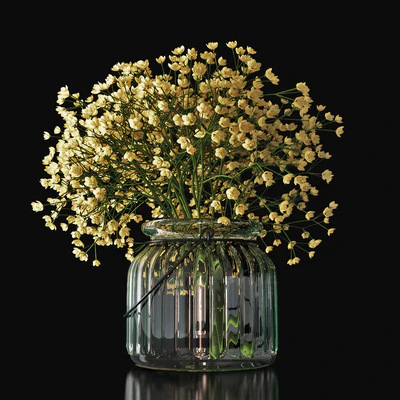 Gypsophila 03 — Ver 3