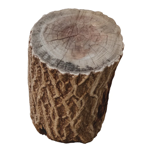 tree trunk 7 — Descargar