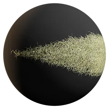 spanish moss 003 — Descargar