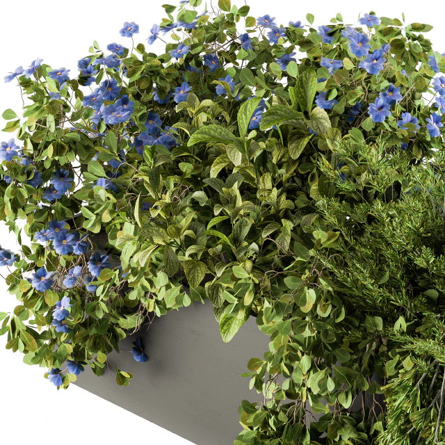 Outdoor Plant Set 208 - Plant Box Blue Flower — Descargar