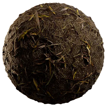 dried leaves 019 — Descargar