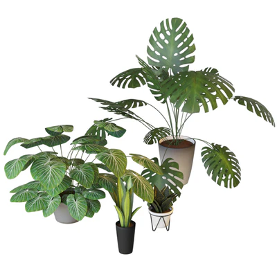 Houseplants set 2 — Ver 2