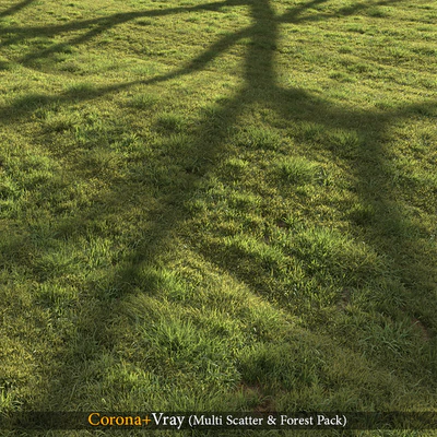 Grass landscape — Ver 1