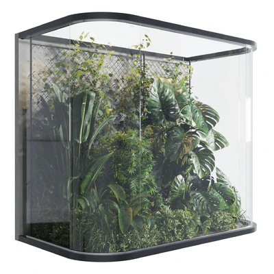 Plants Behind Galss 03 - indoor garden — Ver 2
