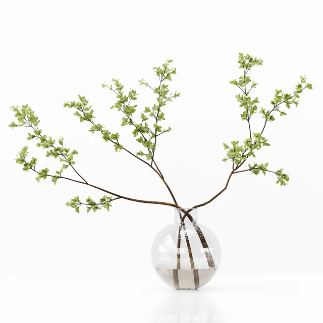 Collection Indoor Plants 037 — Descargar