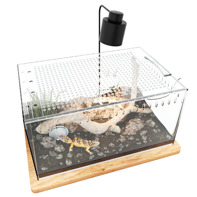 Terrarium with geckos — Descargar