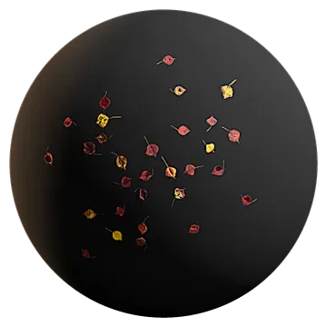 fallen leaves 005 — Скачать