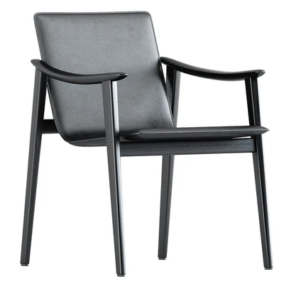 FYNN chair 2 by Minotti — Ver 4