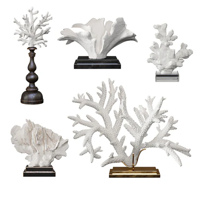 Coral Set 4 — View 1