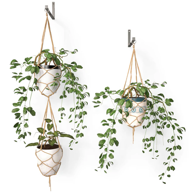 Hanging pots — Descargar