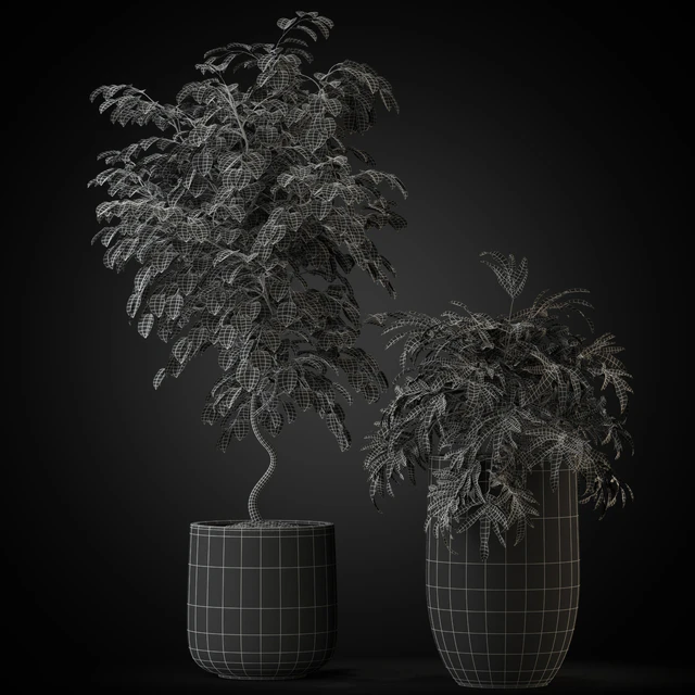 Plants collection 269 — Descargar