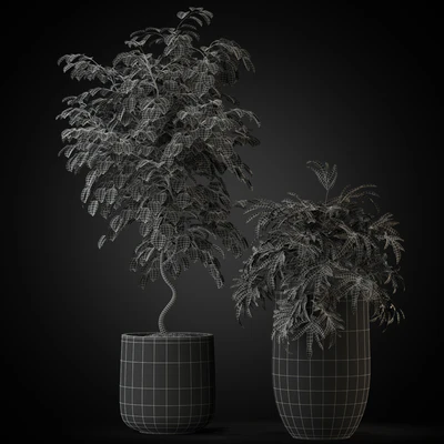Plants collection 269 — Ver 2