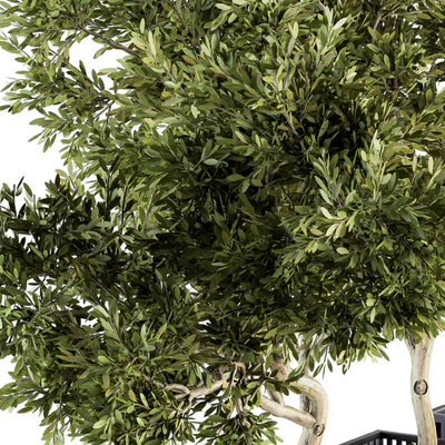 Outdoor Plants tree in Metal Pot - Set 134 — Ver 3