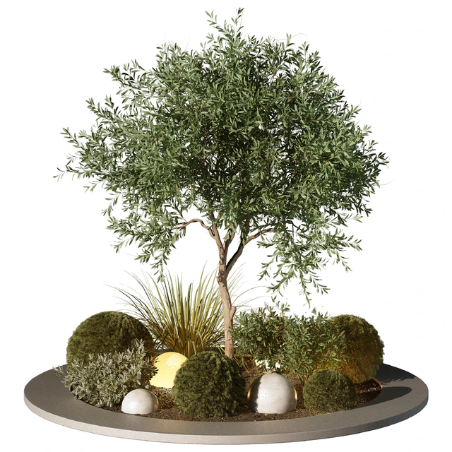 Outdoor Plant 196 — Скачать