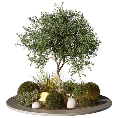 Outdoor Plant 196 — Вид 1