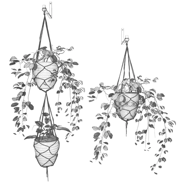 Hanging pots — Descargar