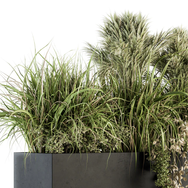 Outdoor Plants tree in Plant box - Set 124 — Скачать