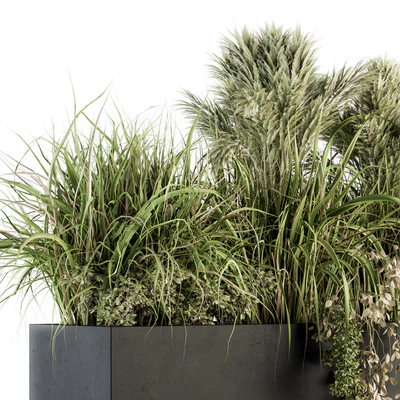 Outdoor Plants tree in Plant box - Set 124 — Вид 2