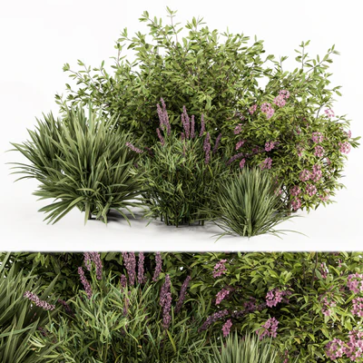 Mixed Plant Bush Green and Purple - Bush Set 50 — Ver 1