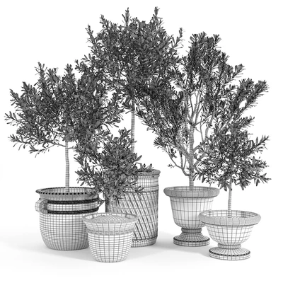 Eclectic Villa Planters — Ver 2